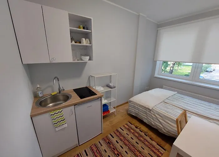 Pepleri Mini 塔尔图